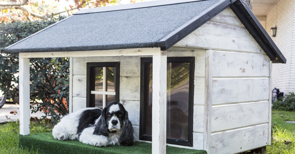 10x10 dog kennels ideas